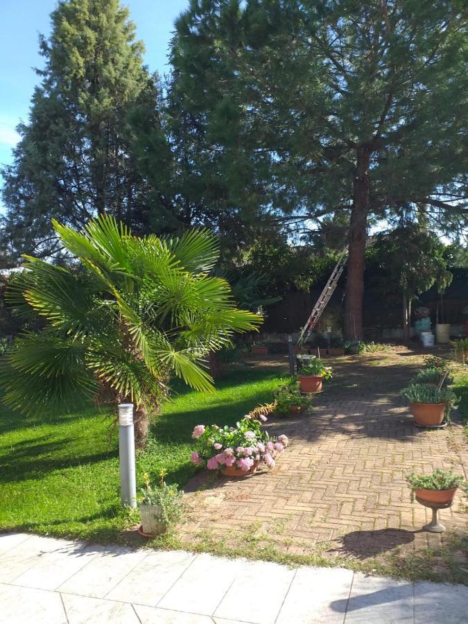 Antica Cascina B&B Borghetto Lodigiano Екстериор снимка